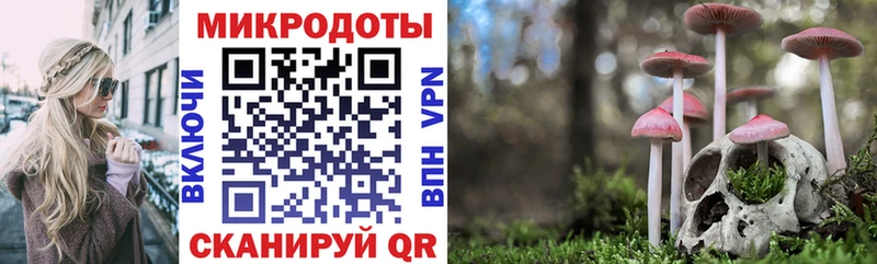 Галлюциногенные грибы Psilocybine cubensis  Игарка 